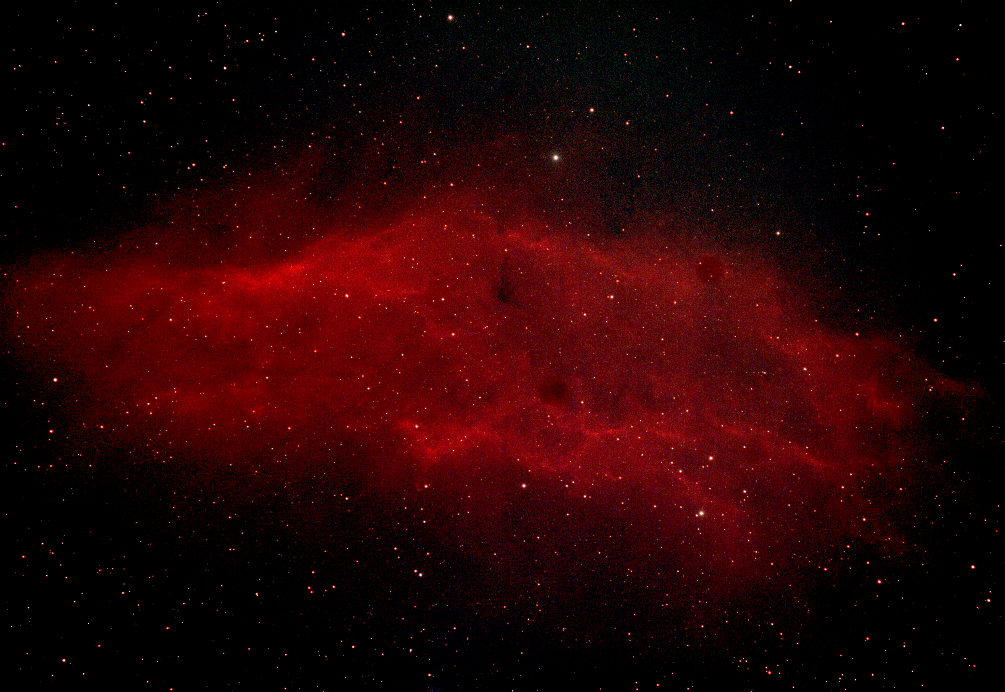 Phil Rourke California Nebula, NGC1499 in Perseus_17.01..22.
